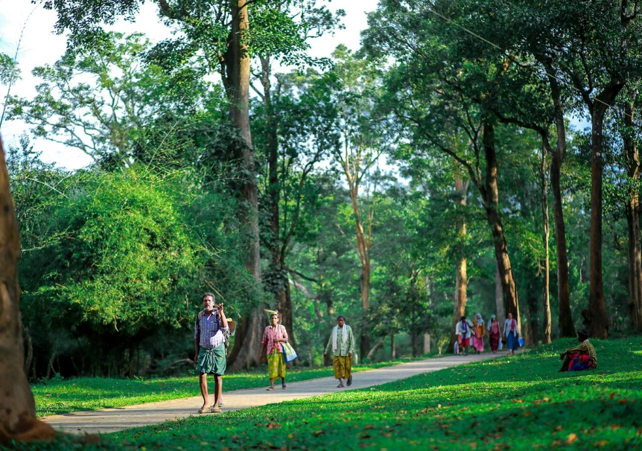 Tusker Inn Forest Villa by VOYE HOMES Wayanad Eksteriør bilde
