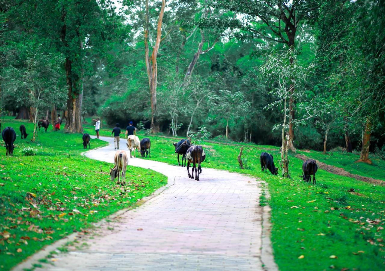 Tusker Inn Forest Villa by VOYE HOMES Wayanad Eksteriør bilde