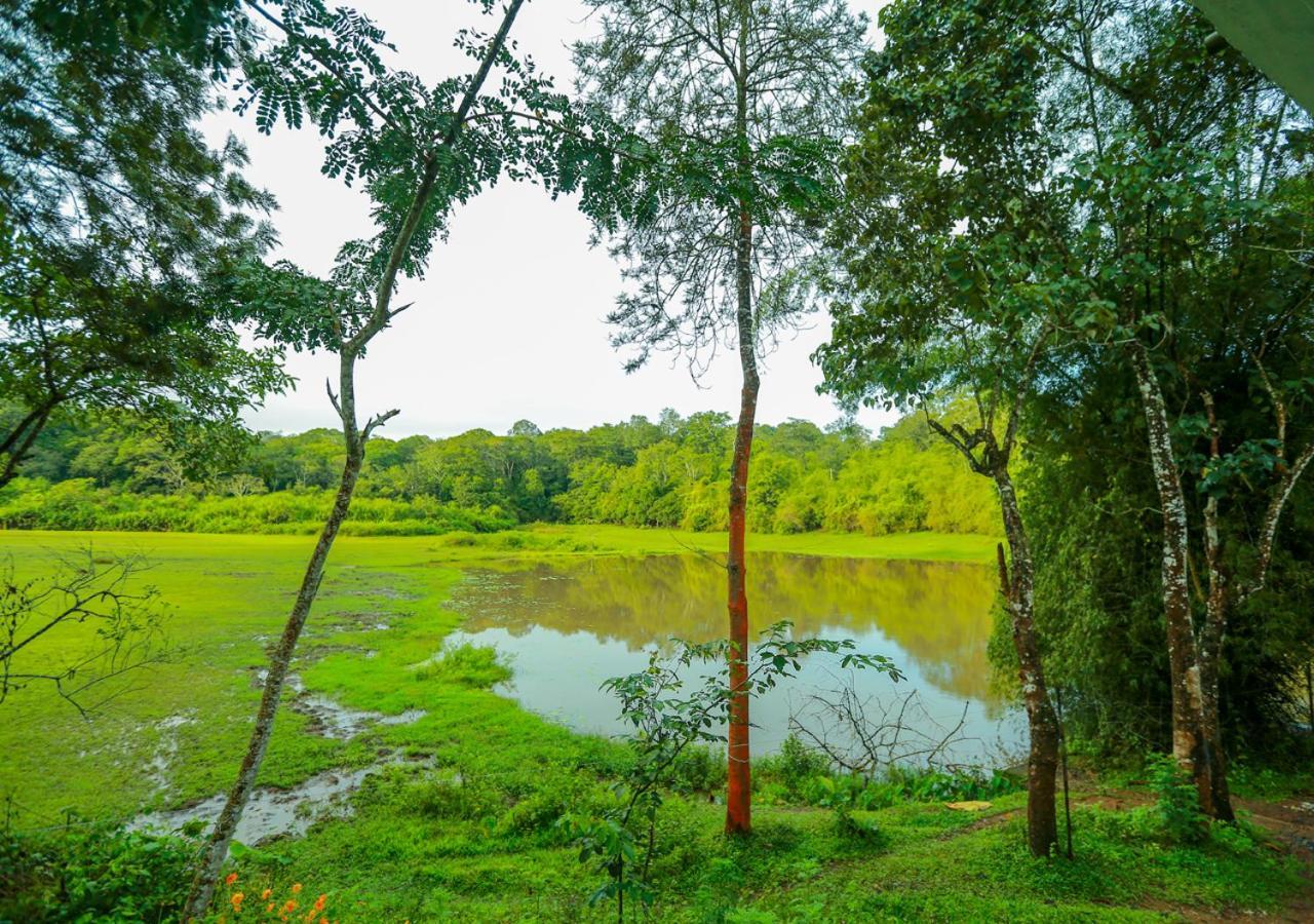 Tusker Inn Forest Villa by VOYE HOMES Wayanad Eksteriør bilde